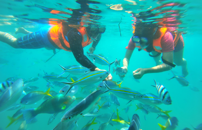 Scuba diving in Malaysia
