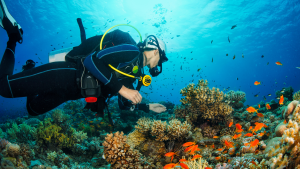 Spots for diving in Malaysia