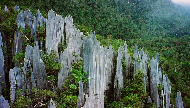 Gunung Mulu National Park