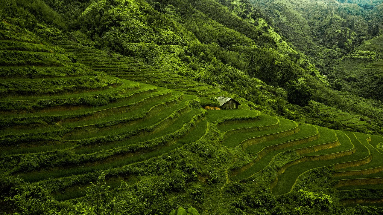 Vietnam by bus